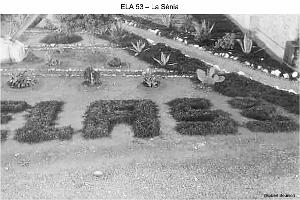 174- ARMEE DE L'AIR EN ALGERIE 1945-1962-22 (3)